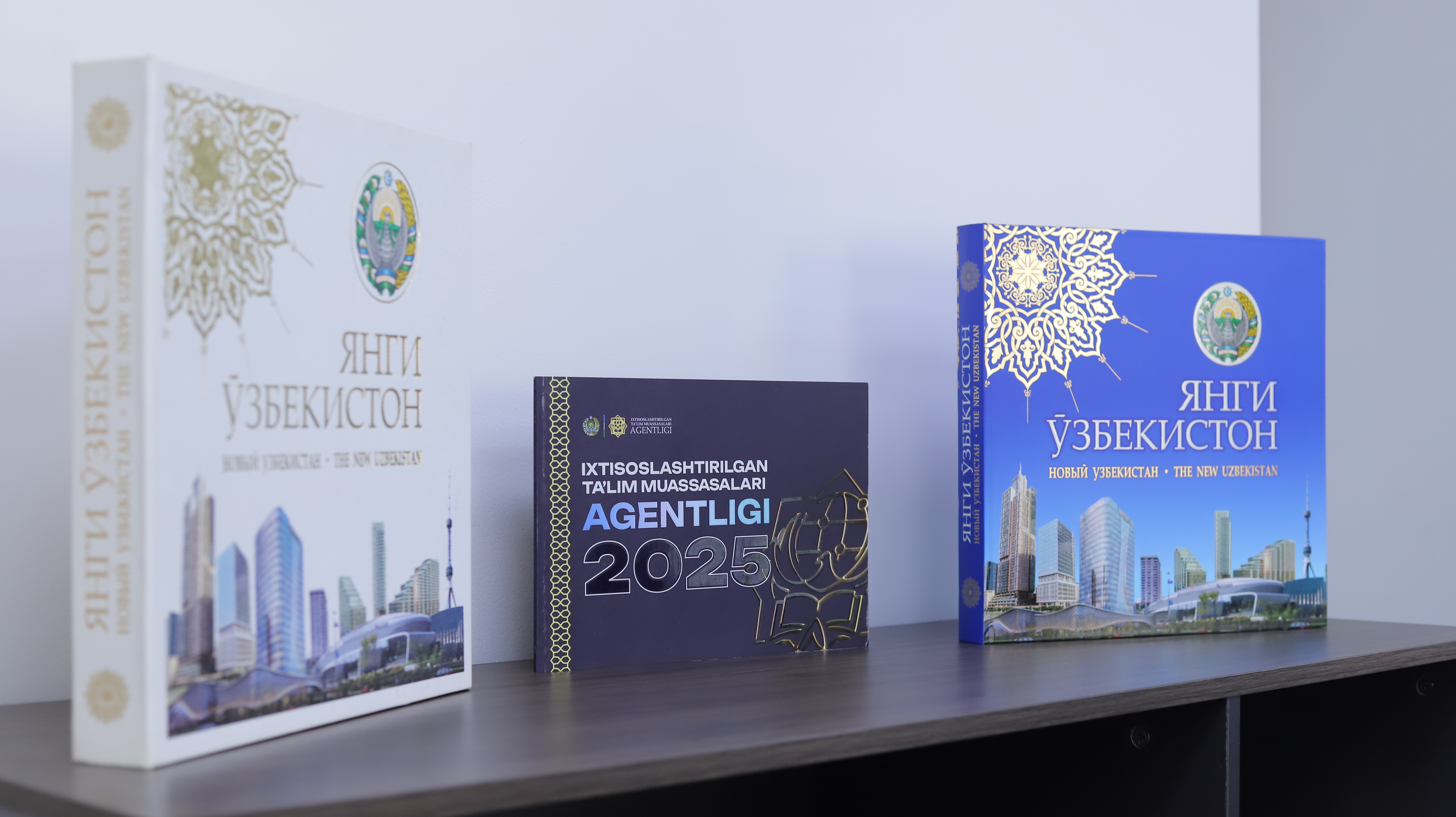  Another New Partnership — Towards New Goals and Innovations